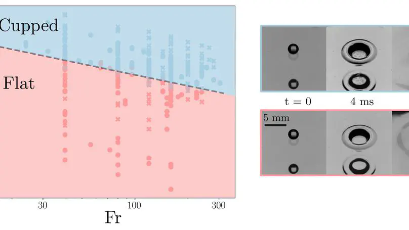 Flat-cupped transition in freezing drop impacts